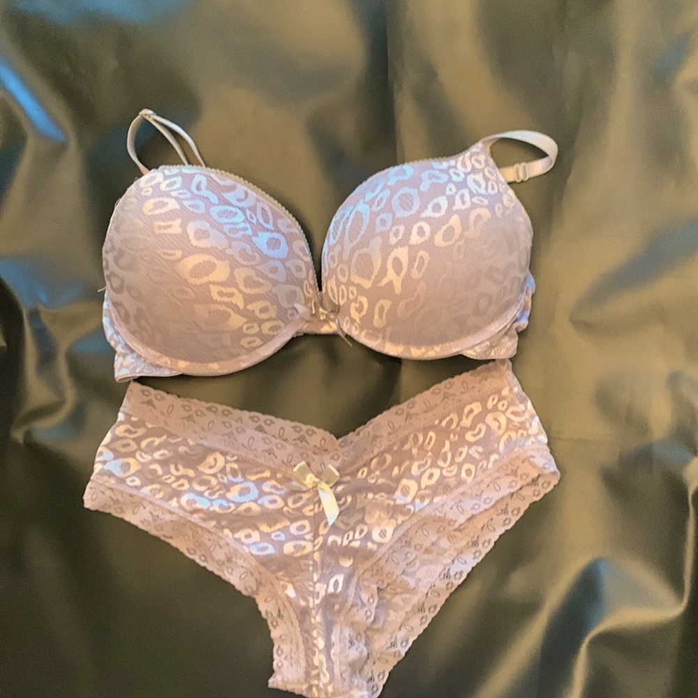 Bra and panty set ( NWOT)